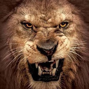 Meet your Posher, Troy